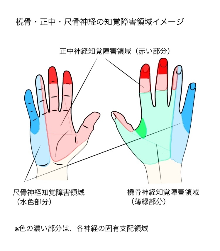 7A63ACFE-2732-4F74-A82A-EBDBF34199A3.jpeg