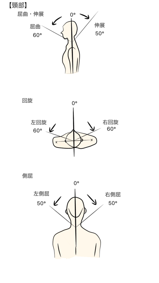 正常可動　
業務用コールドテーブル 主な関節の参考可動域角度