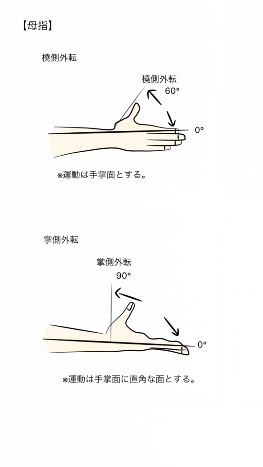 正常可動　
業務用コールドテーブル 主な関節の参考可動域角度