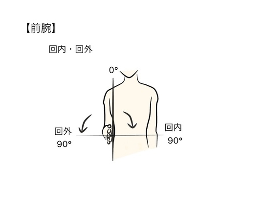 主な関節の参考可動域角度
