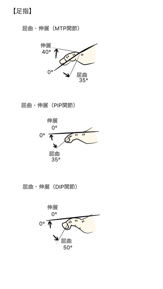 主な関節の参考可動域角度