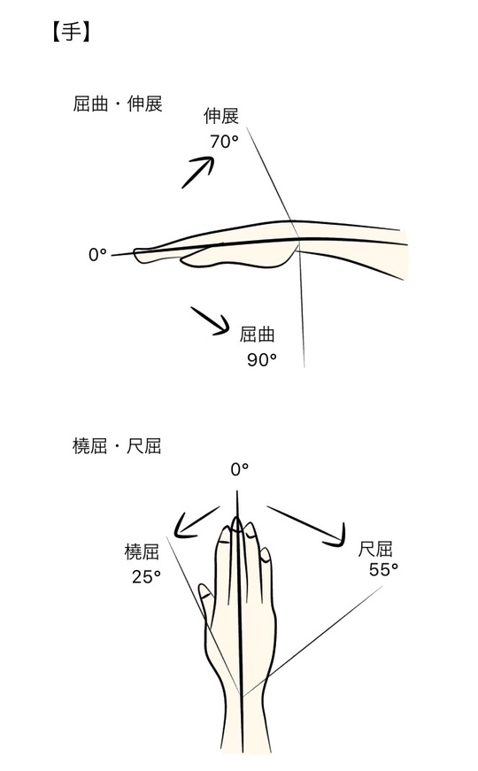 主な関節の参考可動域角度